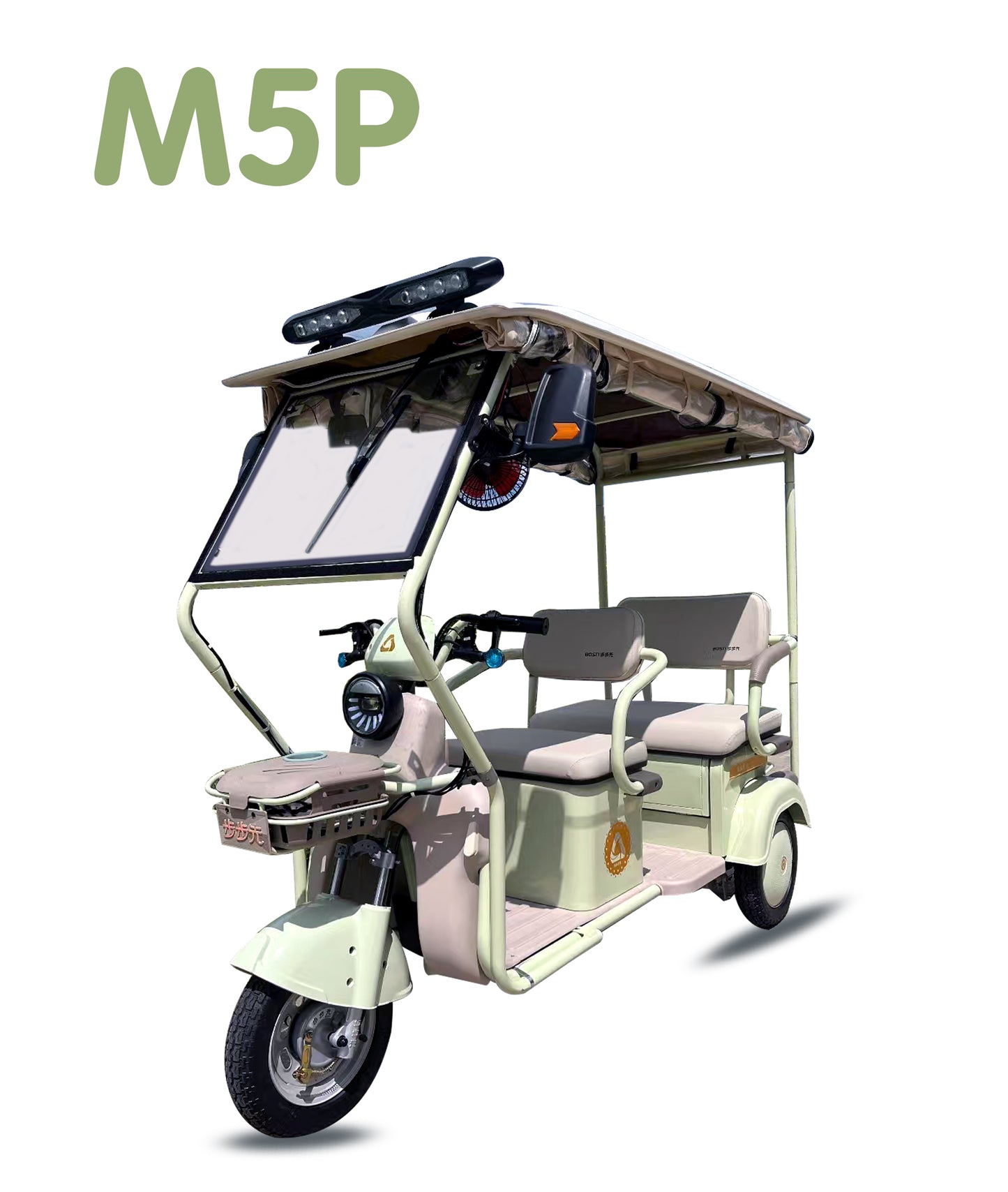 M5P